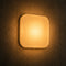 Luume Ritual Light™